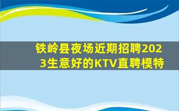 铁岭县夜场近期招聘2023生意好的KTV直聘模特